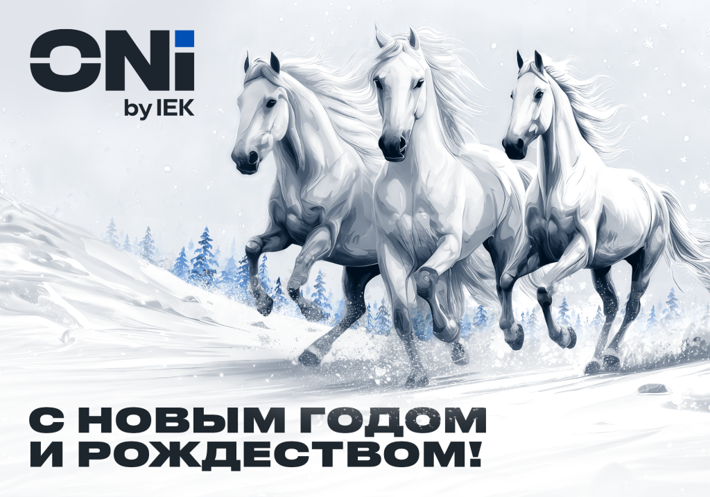 3_otkitka_ONI_New_Year_2026_2000x1400_(1000x700).png