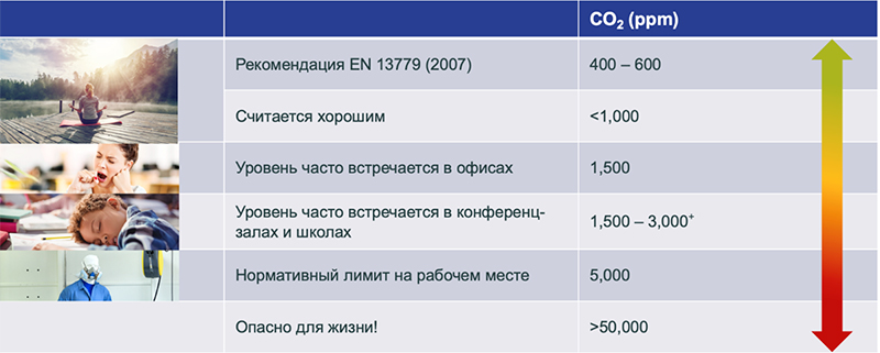 Без-имени-1.jpg